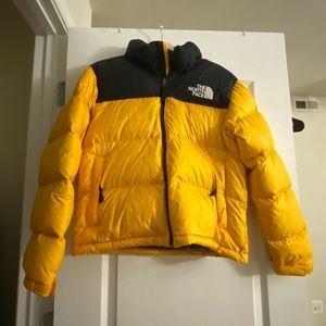 The North Face 1996 puffer